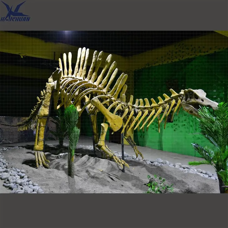Big Size Dinosaur Skeleton